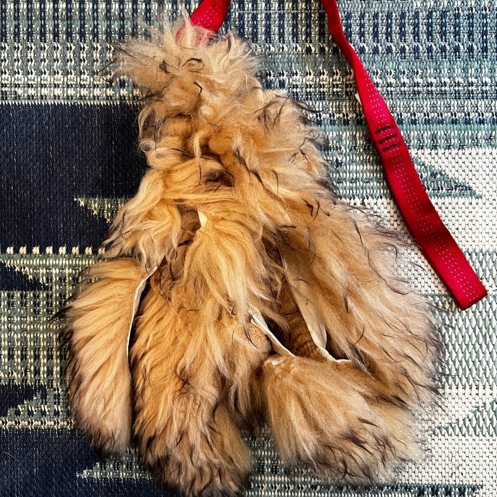 Clean run sheepskin chaser dog toy
